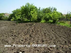 View of Houses For sale in Debelt