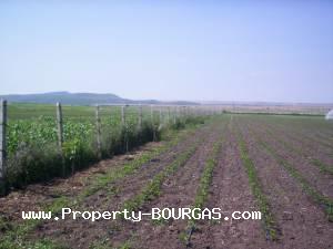 View of Land for sale, plots For sale in Aitos property