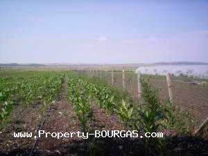 View of Land for sale, plots For sale in Aitos property