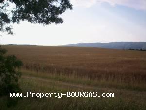 View of Land for sale, plots For sale in Pirne