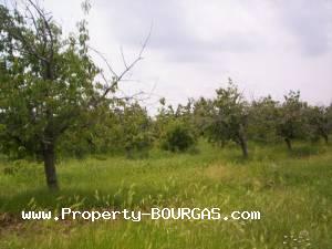 View of Land for sale, plots For sale in Karageorgievo