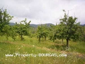 View of Land for sale, plots For sale in Karageorgievo