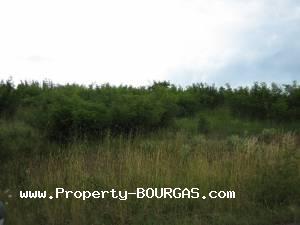 View of Land for sale, plots For sale in Dimchevo