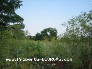 View of Land for sale, plots For sale in Livada