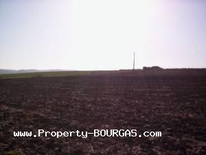View of Land for sale, plots For sale in Pirne