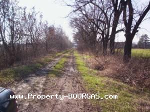 View of Land for sale, plots For sale in Sadievo