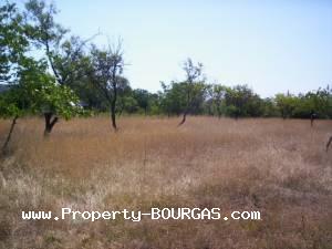 View of Houses For sale in Mirolubovo