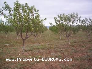 View of Land for sale, plots For sale in Pirne