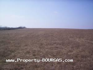View of Land for sale, plots For sale in Pirne