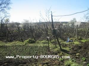 View of Houses For sale in Vratitsa