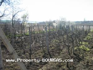 View of Houses For sale in Vratitsa