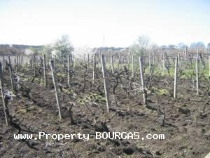 View of Houses For sale in Vratitsa