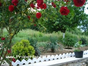View of Houses For sale in Kubadin