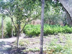 View of Houses For sale in Polski Izvor