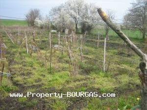 View of Land for sale, plots For sale in Trastikovo