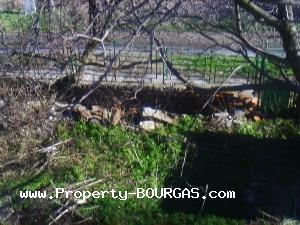 View of Houses For sale in Briastovets